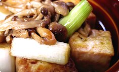 Tofu to negi no wafu ahijyo