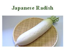 Japanese Radish