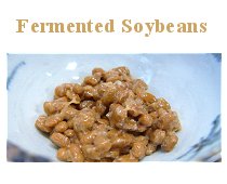 Fermented Soybeans