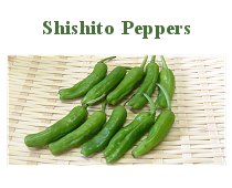 Shishito Peppers