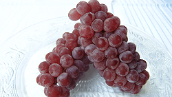 Delaware grapes