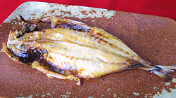 Open grilled horse mackerel