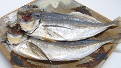 Dried horse mackerel