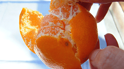 Remove the peel from mikan by hand