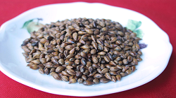 Roasted barley seeds