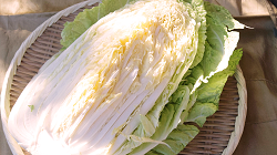 1/2-cut napa cabbage