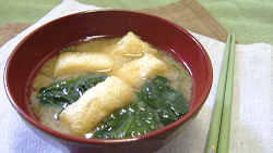 Regular miso soup