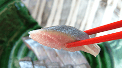 Sanma sashimi