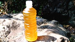 Plastic bottle of sencha