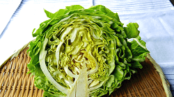 Spring cabbage section