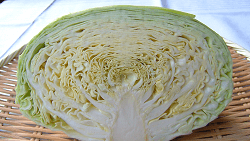 Regular cabbage section