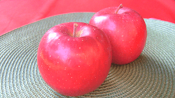 Early-ripening variety of  Fuji apple