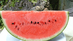Japanese watermelon
