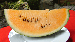 Yellow fruit watermelon