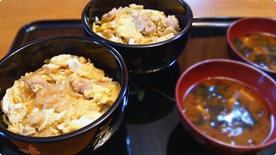 Parent & Child Rice Bowl Dish