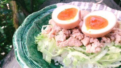 Rousong Chicken & Boiled Egg Bowl