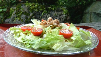 Salad with Thick White Noodles