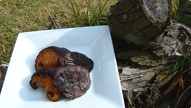 Seared Shiitake Mushrooms with Butter & Soy Sauce