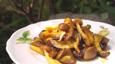 Seared Eggplant & Shimeji Mushrooms with Ginger & Soy Sauce
