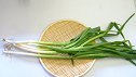 Long Green Onion