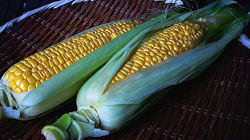 Fresh corn
