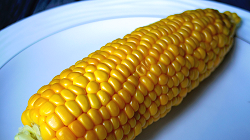 Boiled Corn