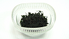 Wakame