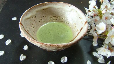 Matcha