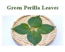 Green Perilla Leaves