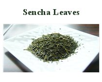 Sencha Leaves