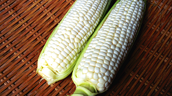 Fresh corn