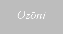 Ozōni Recipes