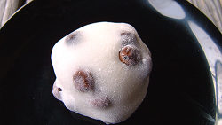 Mame daifuku