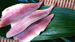 Cut open flattened horse mackerel