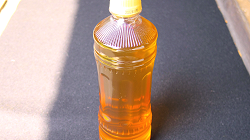 PET bottle houjicha