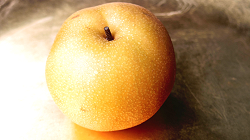 Japanese pear