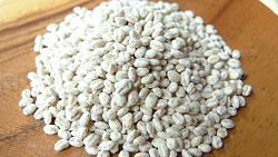 Wheat koji