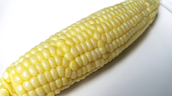 Boiled Corn