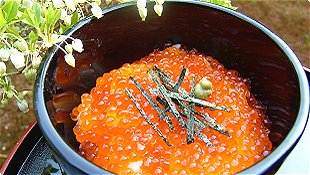 Soaked Salmon Roe in Soy Sauce Bowl