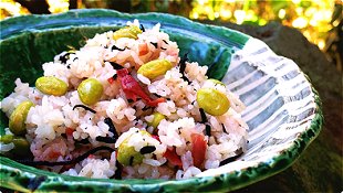 Hijiki, Green Soybeans & Pickled Plums Seasoned Rice